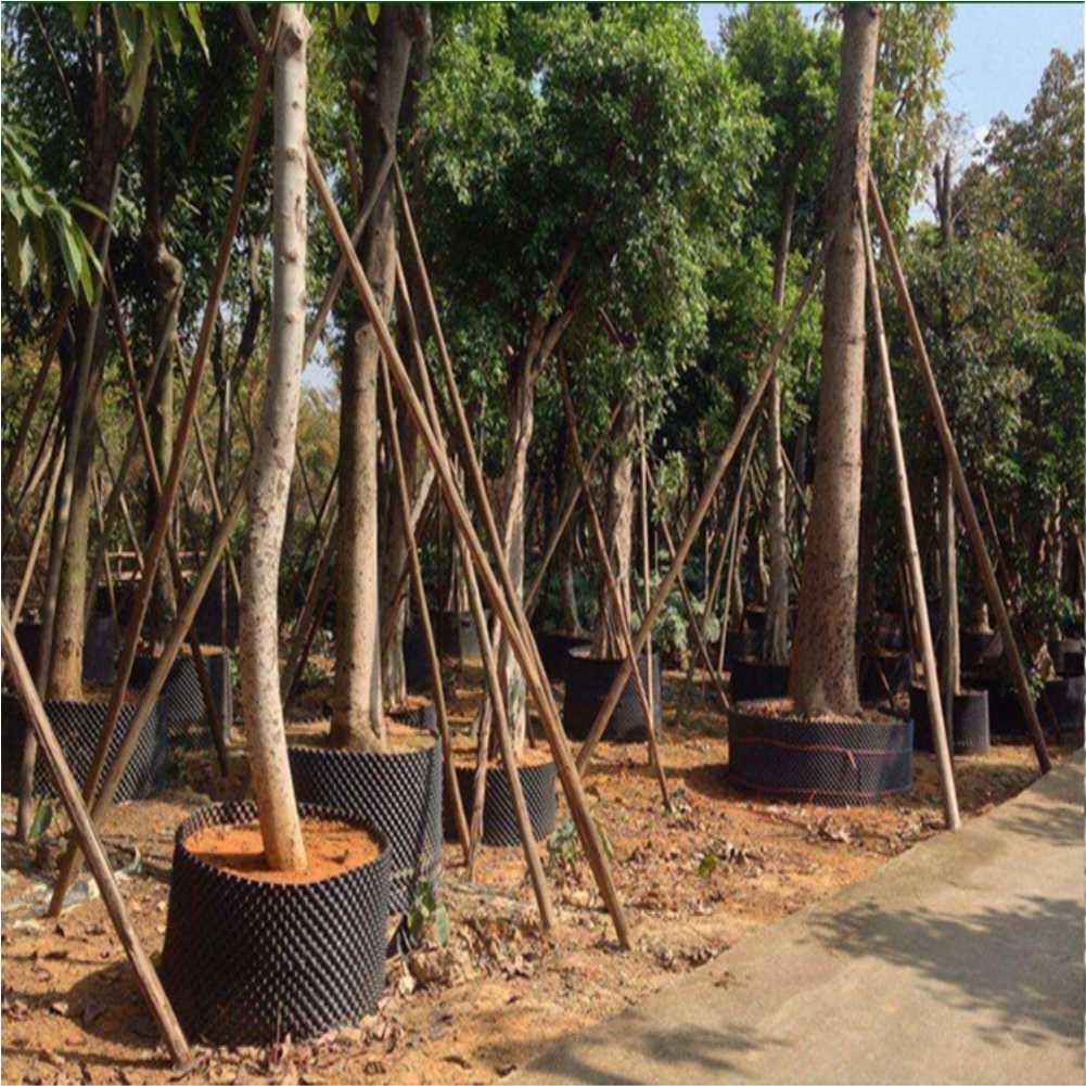 Grow Container Garden Tree Bon - Outdoor Furniture recension och pris