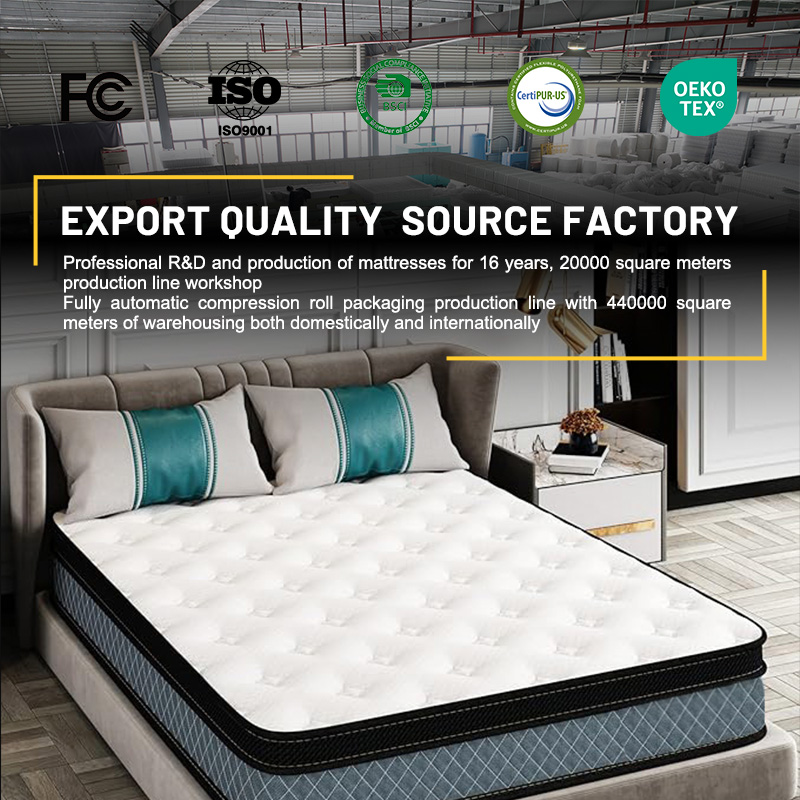 Hot Selling Euro Luxury King Q - Memory Foam Mattress In A Box Queen recension och pris