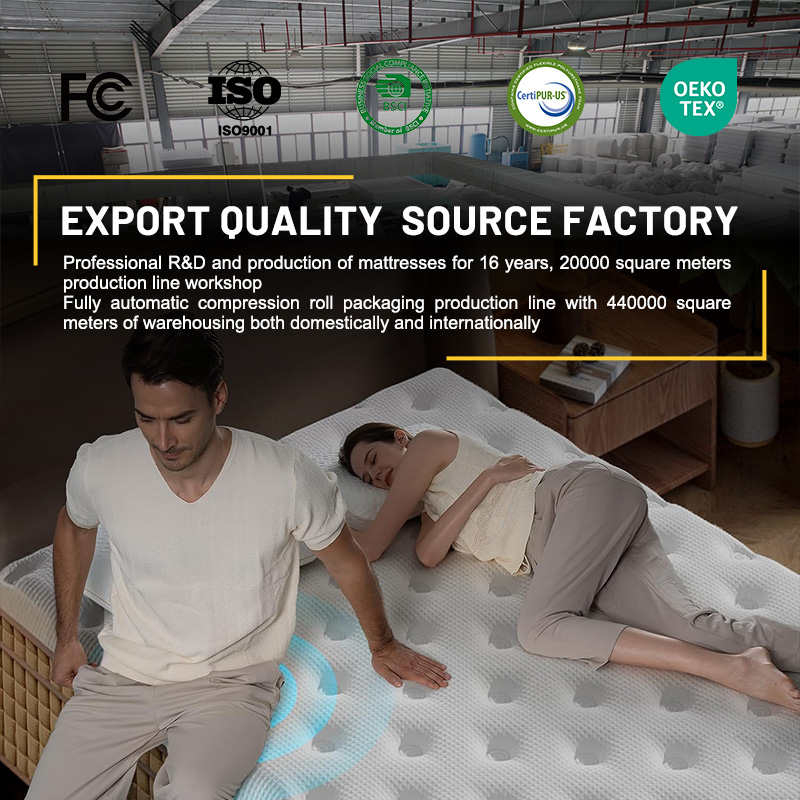 HOMEMATE 14 Inch In A Box Quee - Memory Foam Mattress In A Box Queen recension och pris